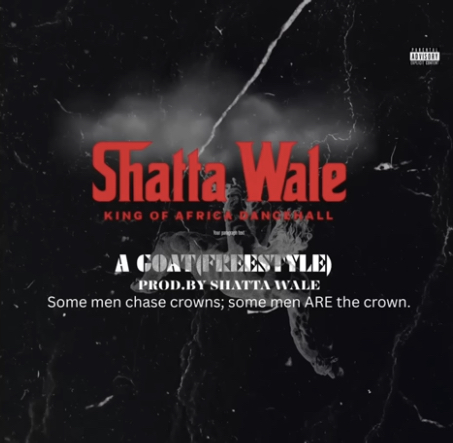 DOWNLOAD MP3 : Shatta Wale – Goat