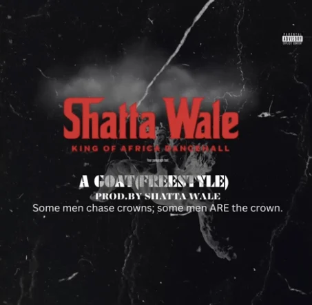 DOWNLOAD MP3 : Shatta Wale – Goat
