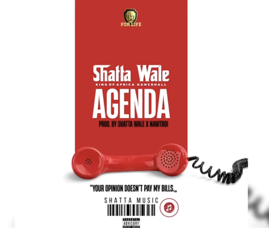 DOWNLOAD MP3 : Shatta Wale – Agenda