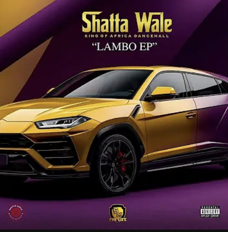 DOWNLOAD MP3 : Shatta Wale – Are You Sure