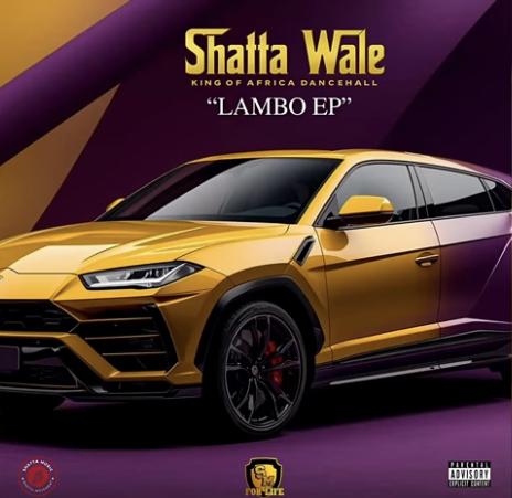 DOWNLOAD MP3 : Shatta Wale – When we deh come
