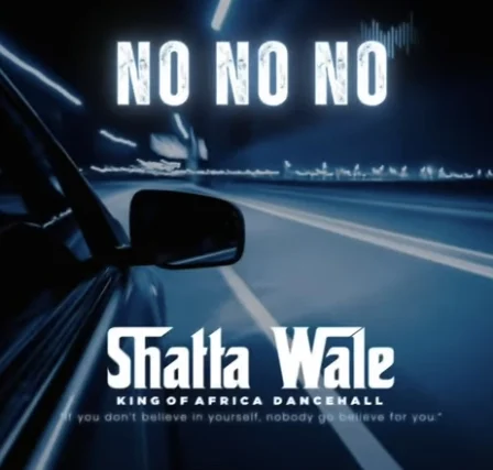 DOWNLOAD MP3 : Shatta Wale – No No No