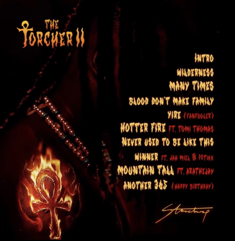 DOWNLOAD MP3 : Stonebwoy – Never Used To Be Like This