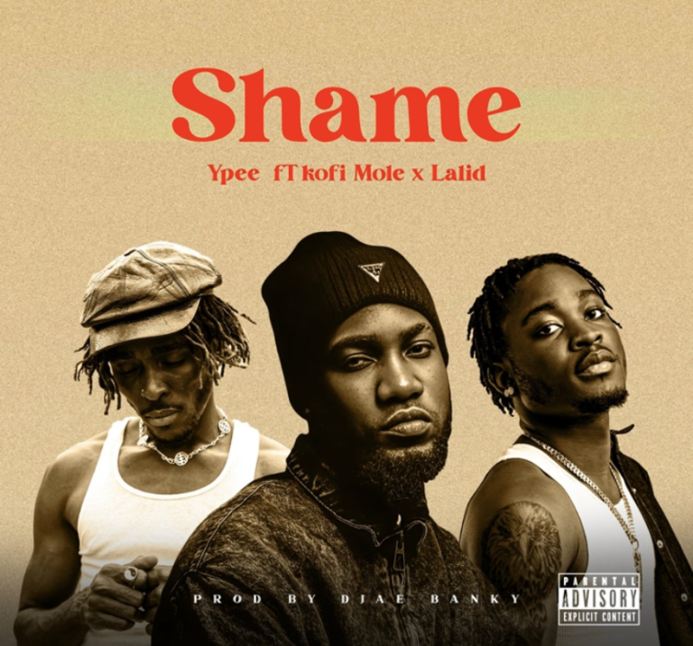 DOWNLOAD MP3 : Ypee Ft Kofi Mole x Lalid – Shame