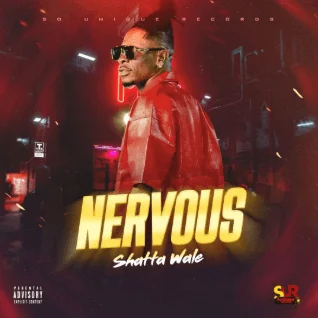 Shatta Wale - Nervous
