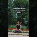 Annabel Rose – Peace of Mind