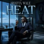 DOWNLOAD MP3 : Shatta Wale – Heat