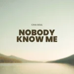 Nobody Know Me cover art