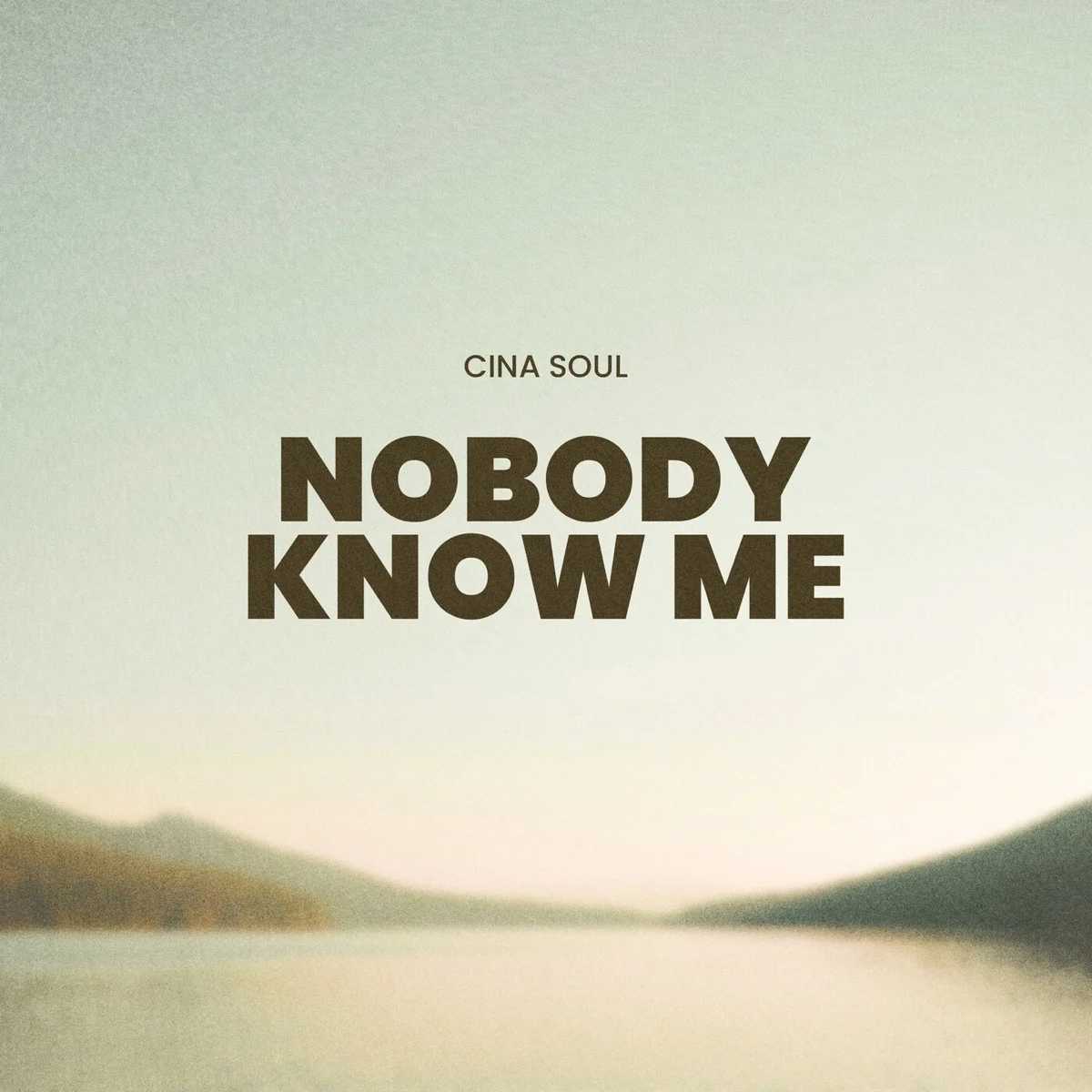 Cina Soul Nobody Know Me official cover art